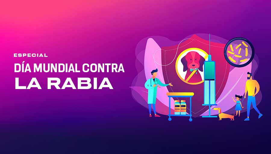 D A Mundial Contra La Rabia Unam Global