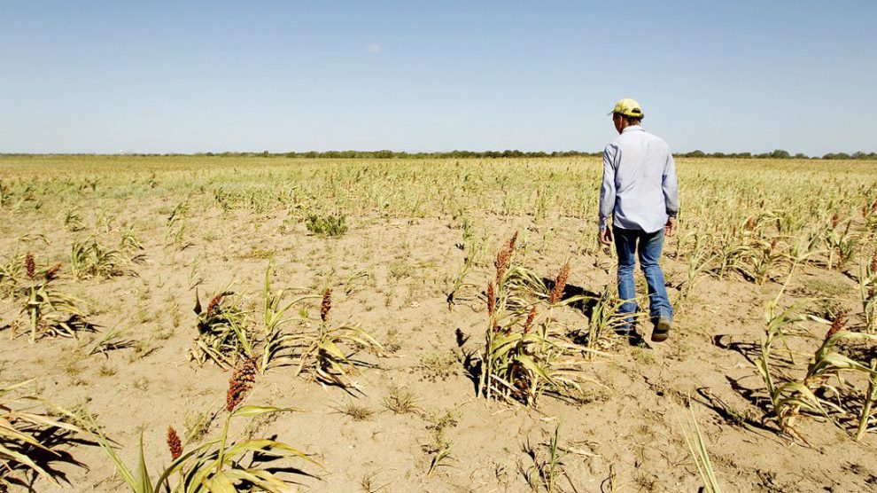 Texas-Drought-campesinos-sin-acceso-canasta-básica-UNAMGlobal