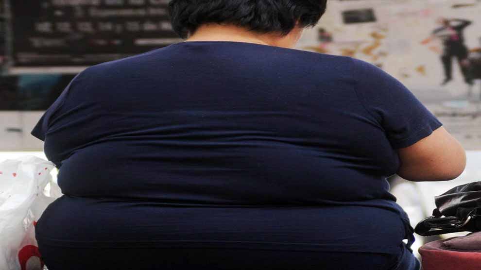 🔊Ignorancia, primera causa de la obesidad en México