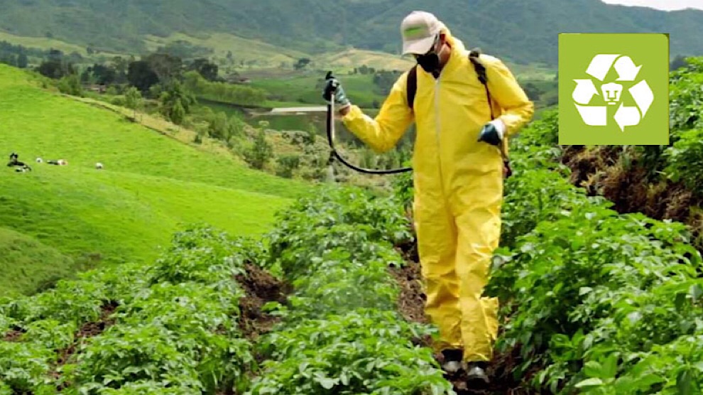 UNAM crea biofungicida no tóxico