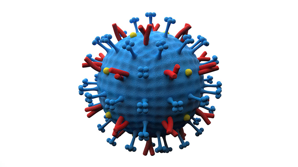 El virus de la influenza podría traer una pandemia