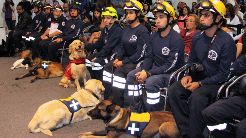 Reciben binomios caninos y Facultad de Veterinaria de la UNAM reconocimiento por su labor de rescate