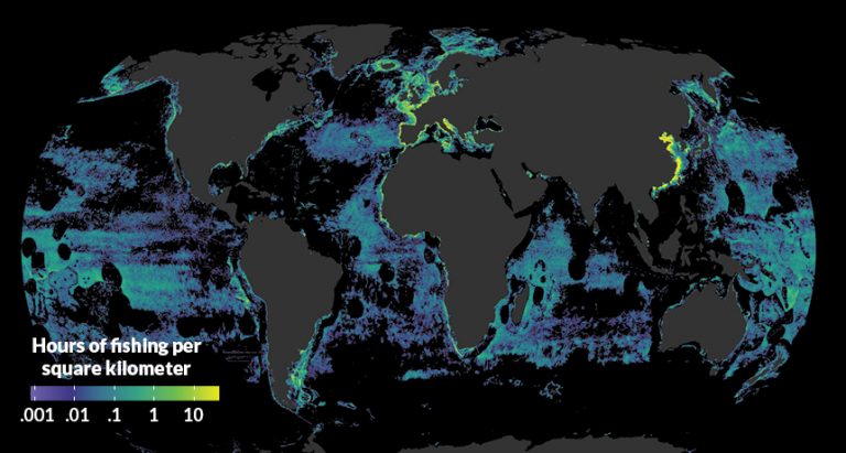 Un nuevo mapeo muestra cuánto afecta la pesca a los mares del mundo ...