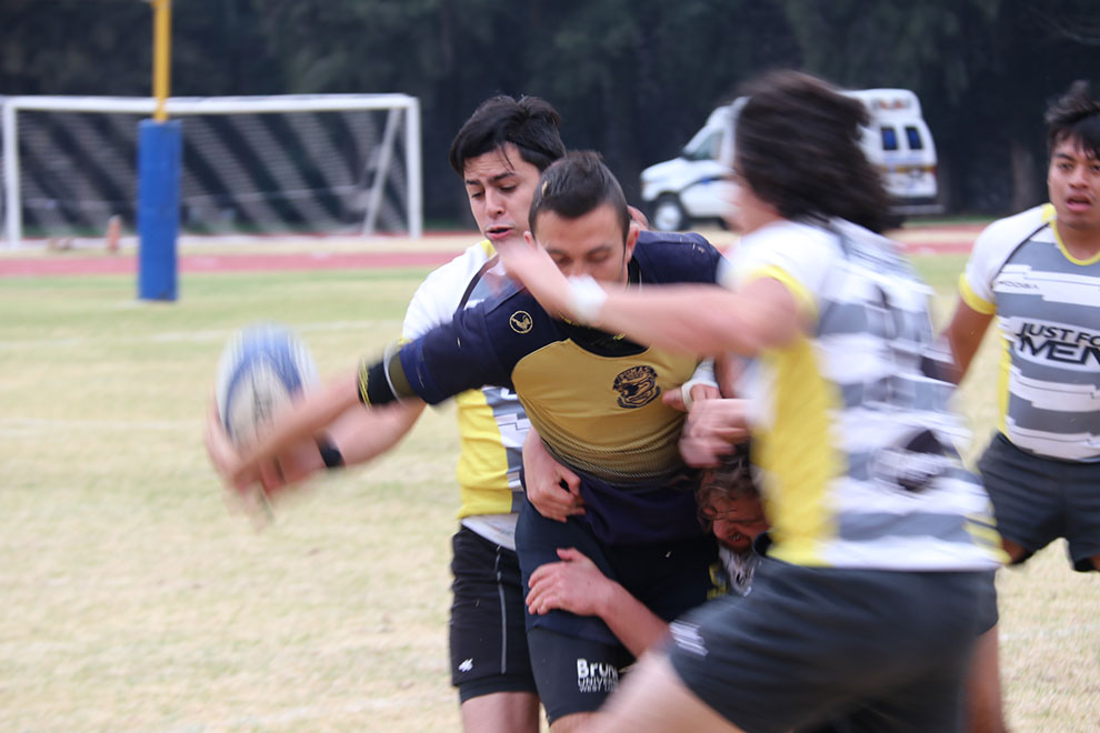 Apoya a Pumas Rugby por el campeonato