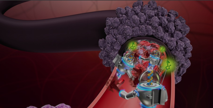 Nanorobots que buscan y destruyen tumores