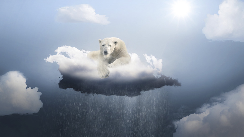 ¿Cuál será la especie que sobreviva al apocalipsis del cambio climático?
