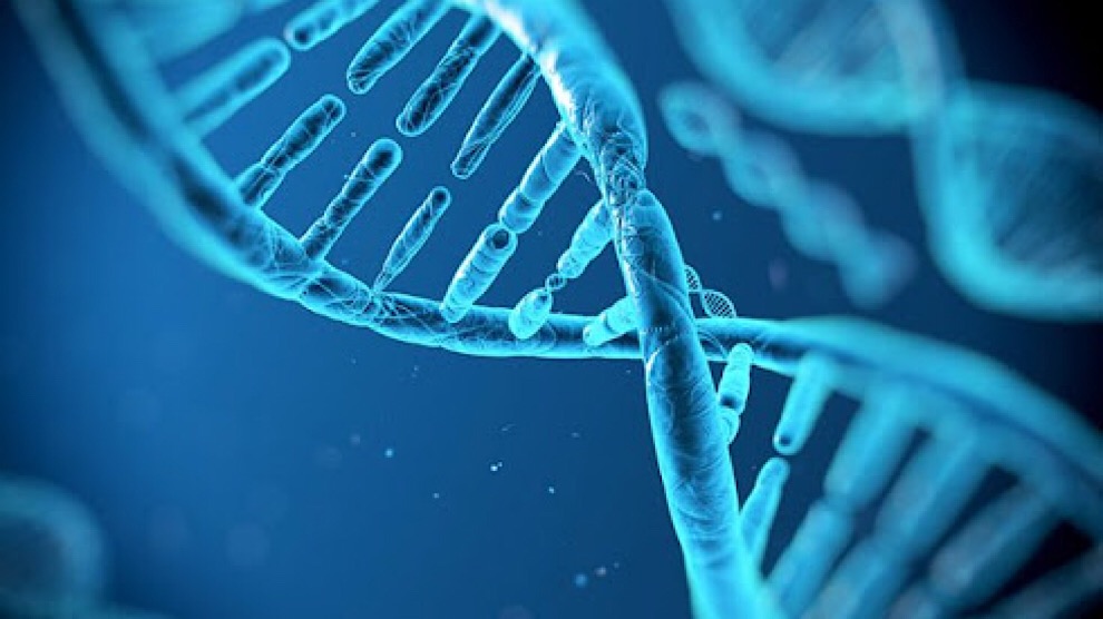 Desarrollan terapia que introduce en el organismo genes «suicidas»