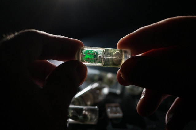 “Bacterias en una píldora” capaces de detectar enfermedades digestivas