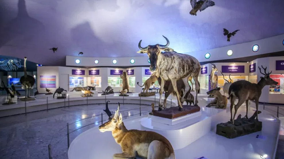 Celebrarán Feria de Ciencias de la UNAM en el Museo de Historia Natural