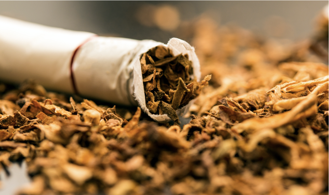 Documental revela afectaciones de salud por cultivo del tabaco