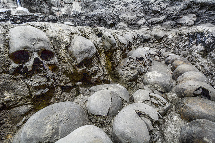 Feeding the gods: Hundreds of skulls reveal massive scale of human sacrifice in Aztec capital