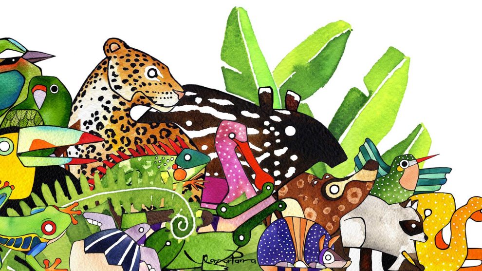 Ilustrando la flora y fauna de Costa Rica | UNAM Global