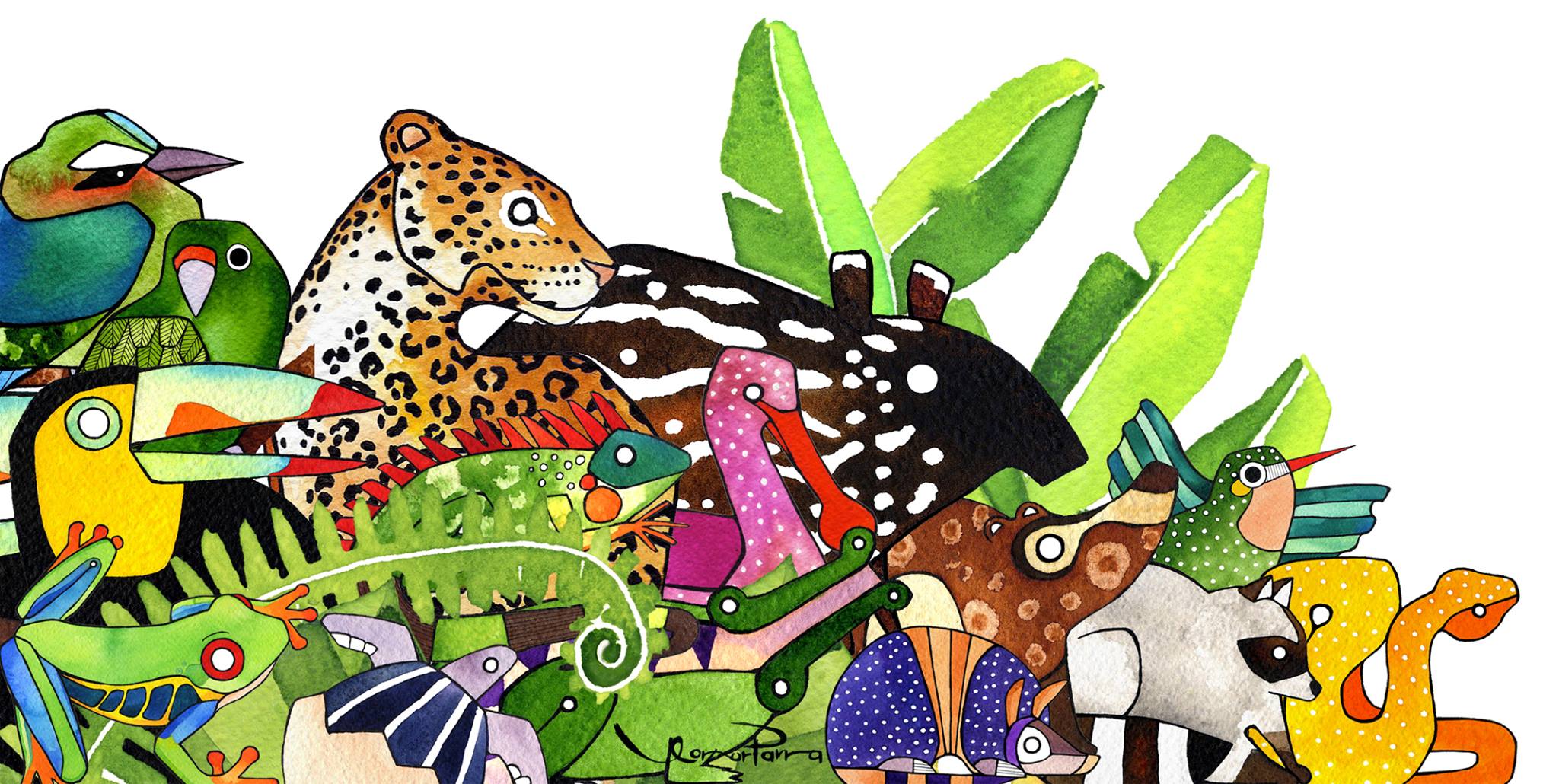 Ilustrando la flora y fauna de Costa Rica