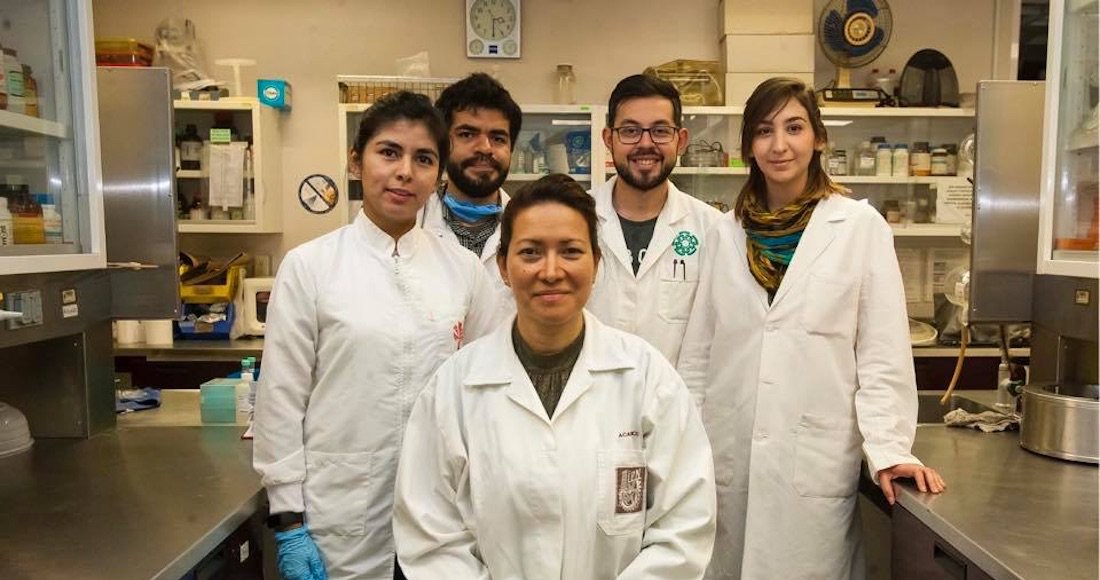 Elimina IPN cien por ciento virus del papiloma humano