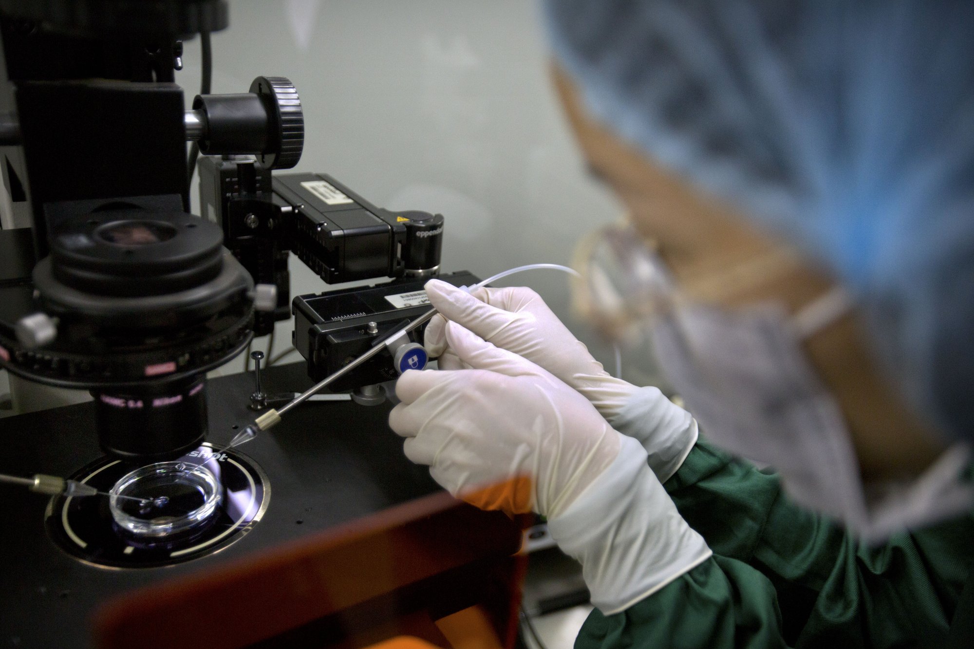 China regula los ensayos biotecnológicos tras escándalo de edición de genes