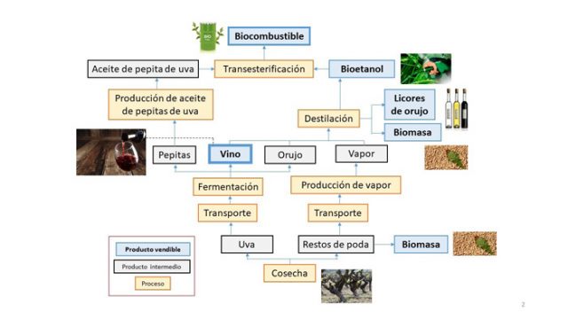 Residuos-vinointerior-esquema-biocombustible-UNAMGlobal