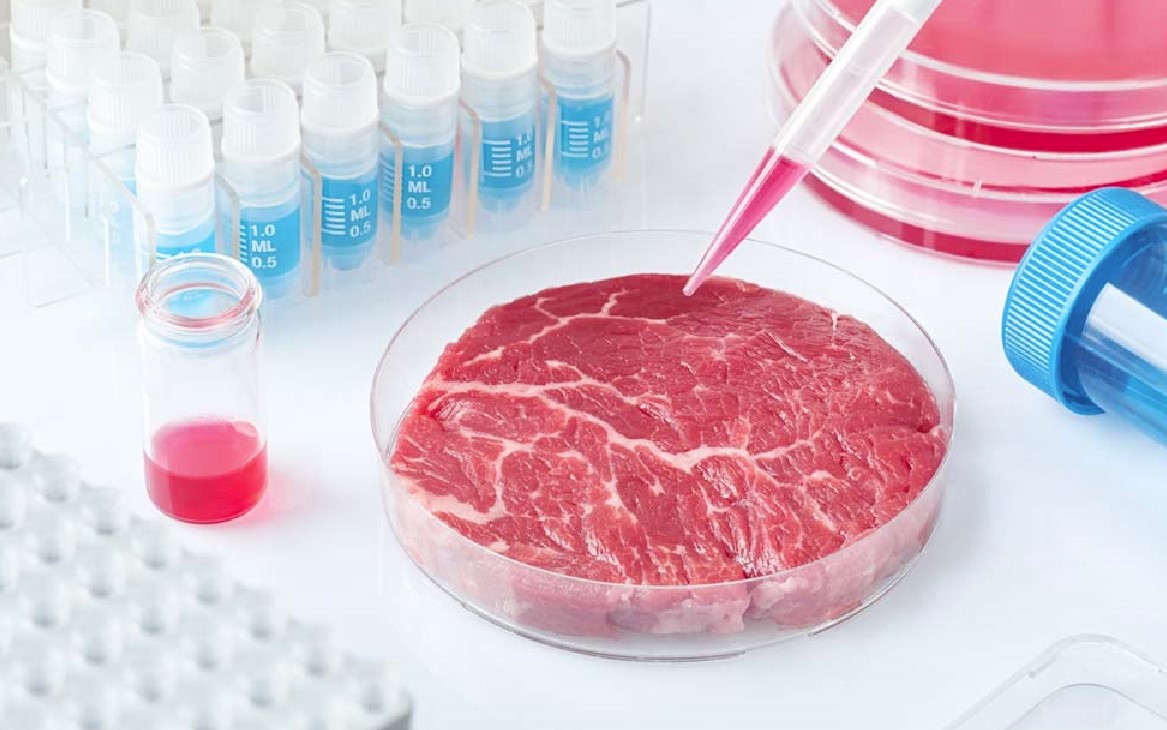 Carne cultivada in vitro, ¿alimentación del futuro?