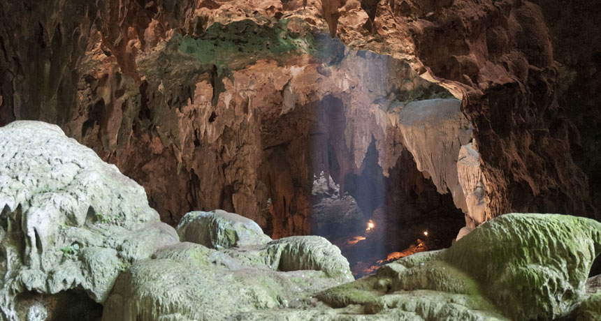 Una nueva especie de homínidos ha sido encontrada en una cueva filipina, sugieren los fósiles