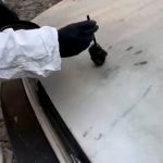 Ciencia-Forense6-UNAMGlobal
