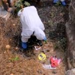 Ciencia-Forense18-UNAMGlobal