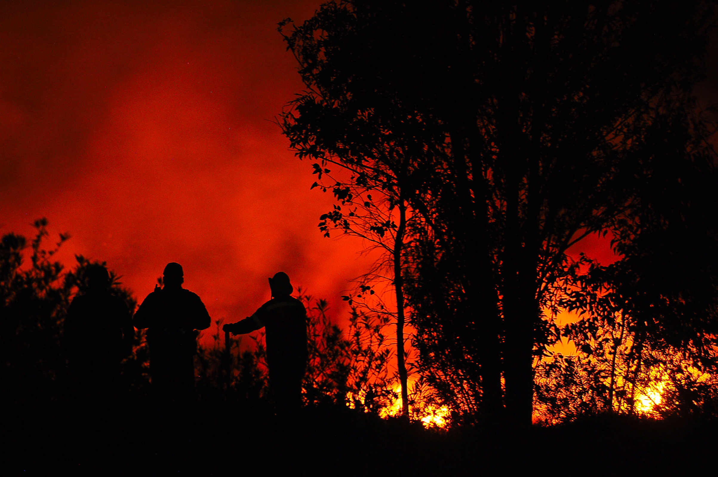 Se registran en el país 36 incendios activos Semarnat