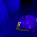 Ciencia-Forense-3-UNAMGlobal