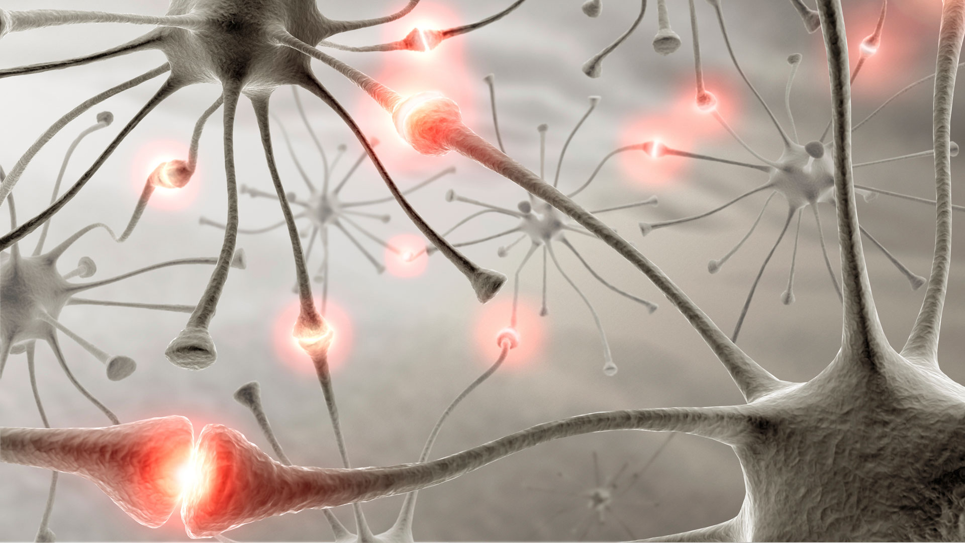 Logran ‘reconectar’ un grupo de neuronas dañadas por una enfermedad neurodegenerativa