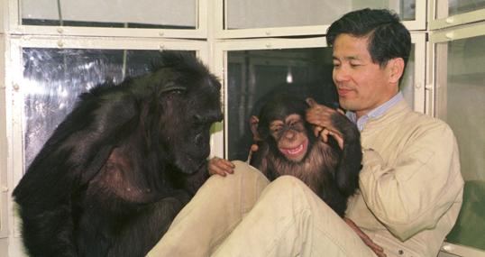 “Los chimpancés me han enseñado que no somos los mejores en todo”
