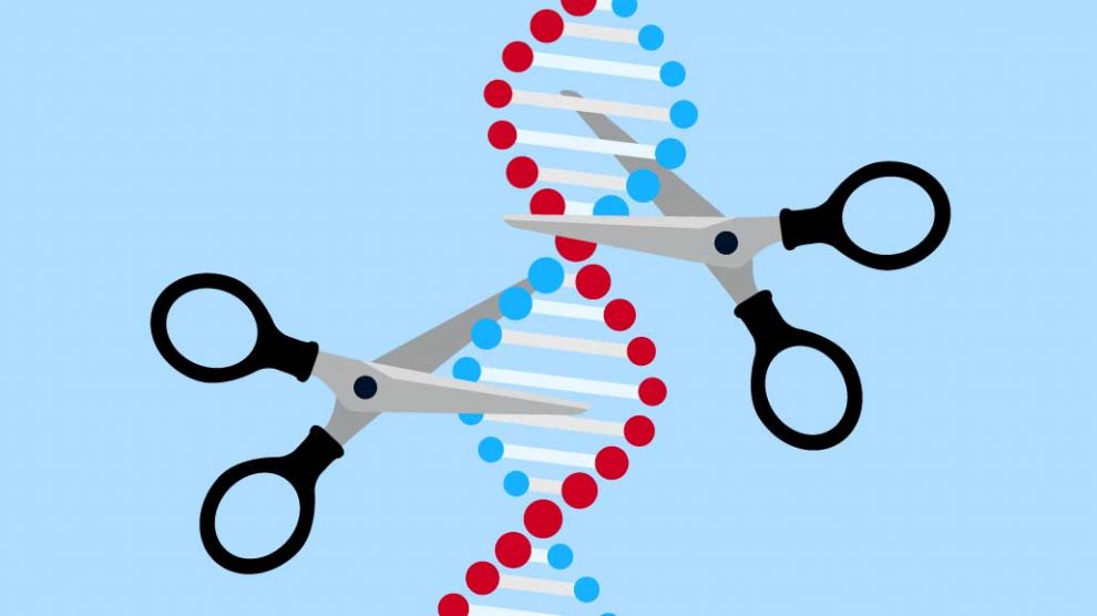 CRISPR-Cas9-tijeras-moleculares-UNAMGlobal
