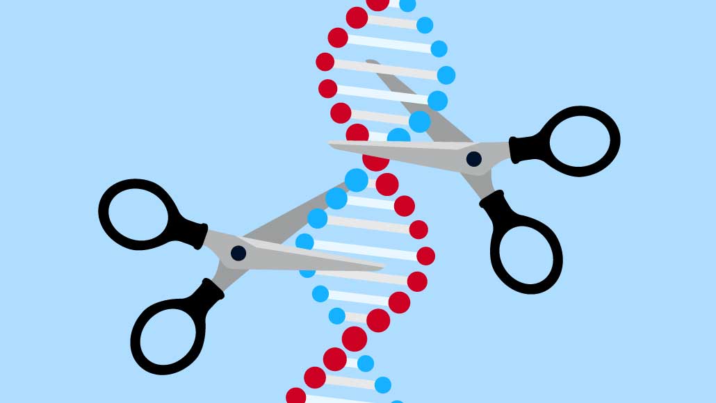 CRISPR entrando en sus primeras pruebas clínicas en humanos