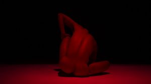 danza-coreográfica4-contemporánea-NOHBORDS-cuerpo-UNAMGlobal