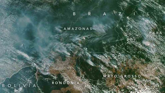 incendio2-devastación-selva-amazonia-UNAMGlobal