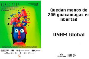 Munic-2019-menos-de-20Guacamayas-UNAMGlobal