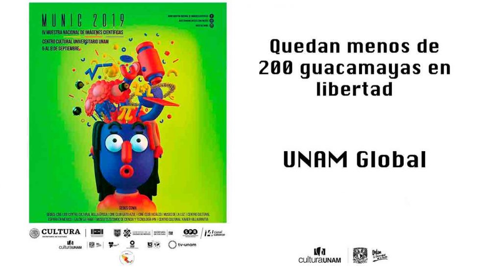 Munic-2019-menos-de-20Guacamayas-UNAMGlobal