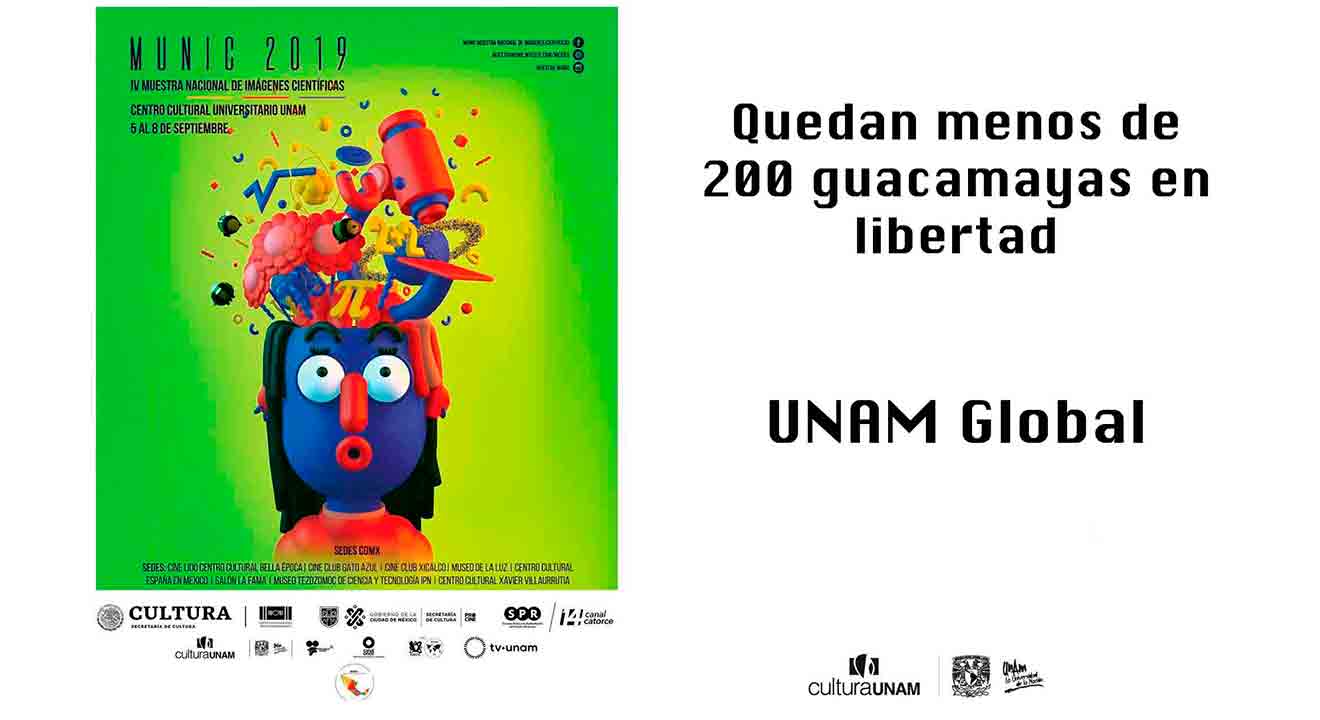 UNAM Global, entre los finalistas de la Muestra del MUNIC 2019