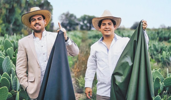 Mexicanos inventan la primera piel hecha de nopal