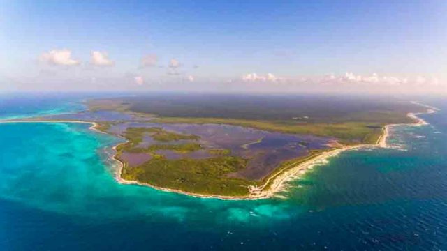 arrecifes-riesgo-cambio-climático-blanqueamiento-UNAMGlobal