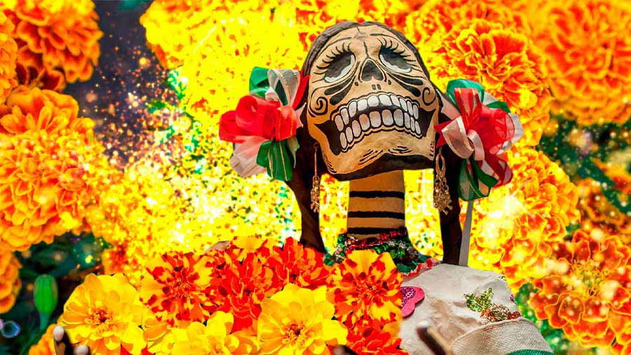 Flor de cempasúchil, ícono del Día de Muertos | UNAM Global