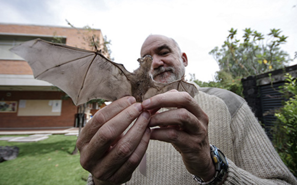 El Bat Man de México destruye mitos sobre murciélagos