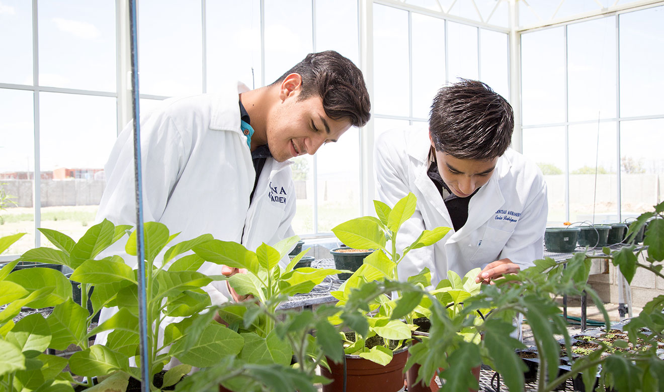 Licenciatura en Ciencias Agrogenómicas, programa reconocido por su alta exigencia e innovación curricular