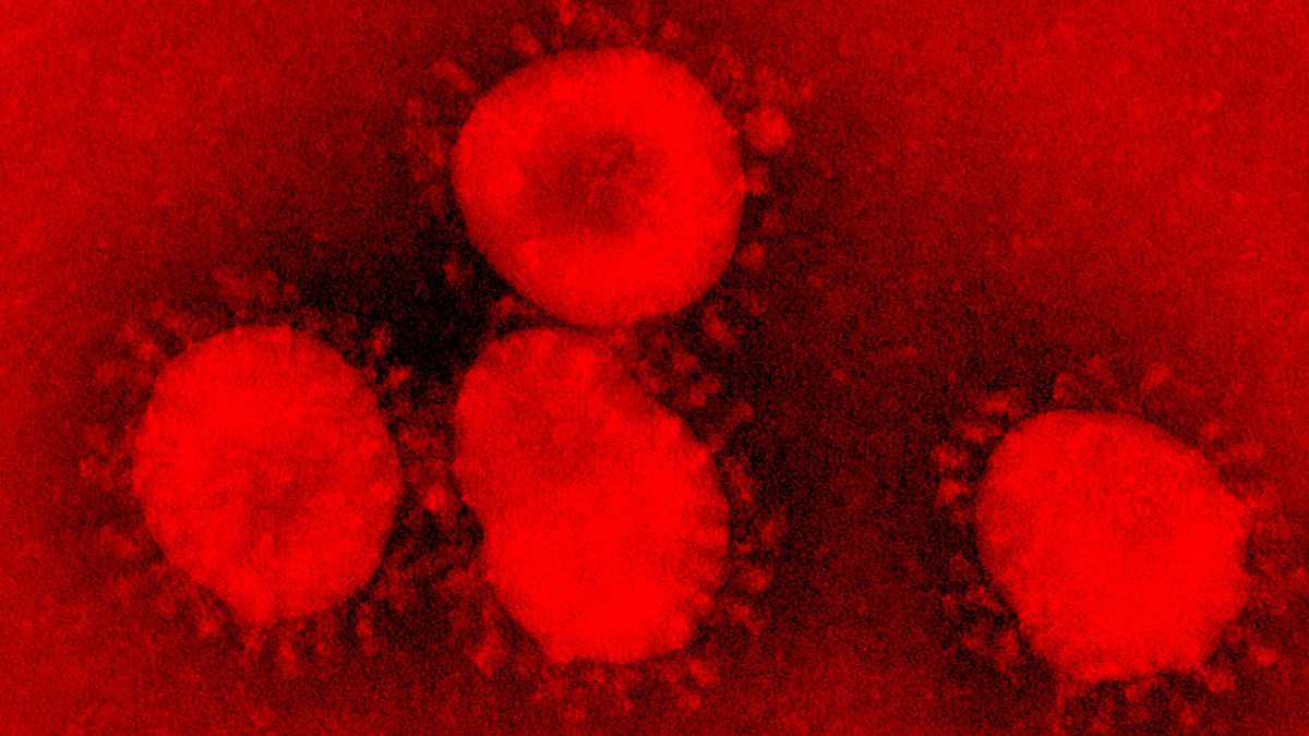 ¿Emergencia de salud internacional? OMS anunciará resolución por #coronavirus
