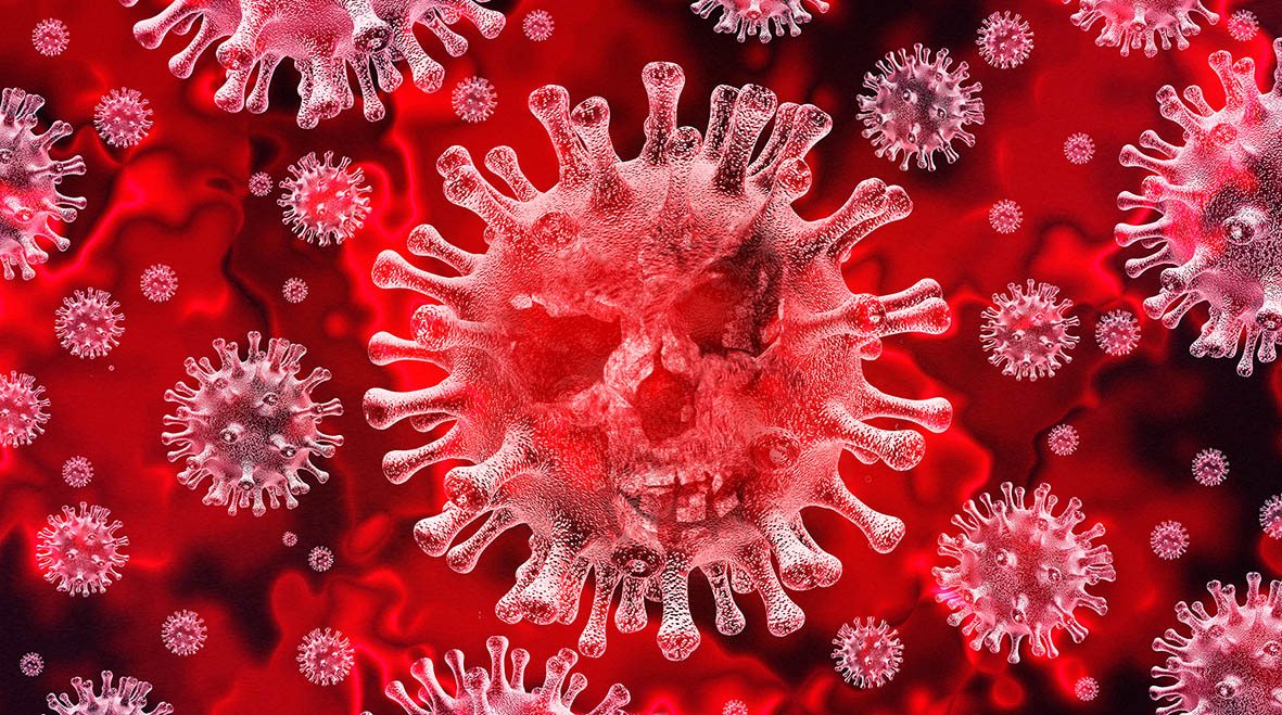 Curiosidades sobre el origen de los virus