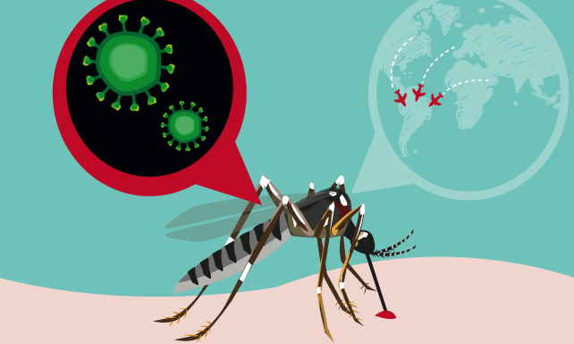 Desarrollan la primera vacuna contra el Zika y el Dengue