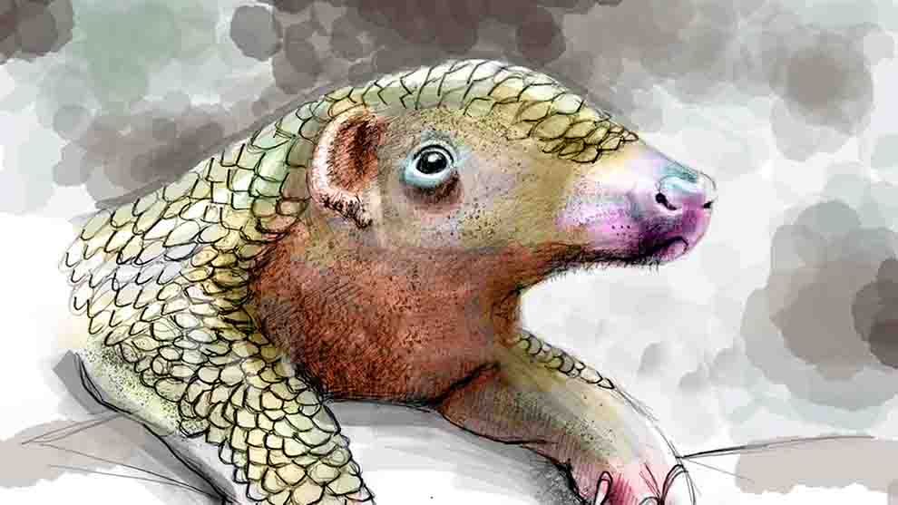 Virus causante de la COVID-19, similar al que hospedan murciélagos y pangolines