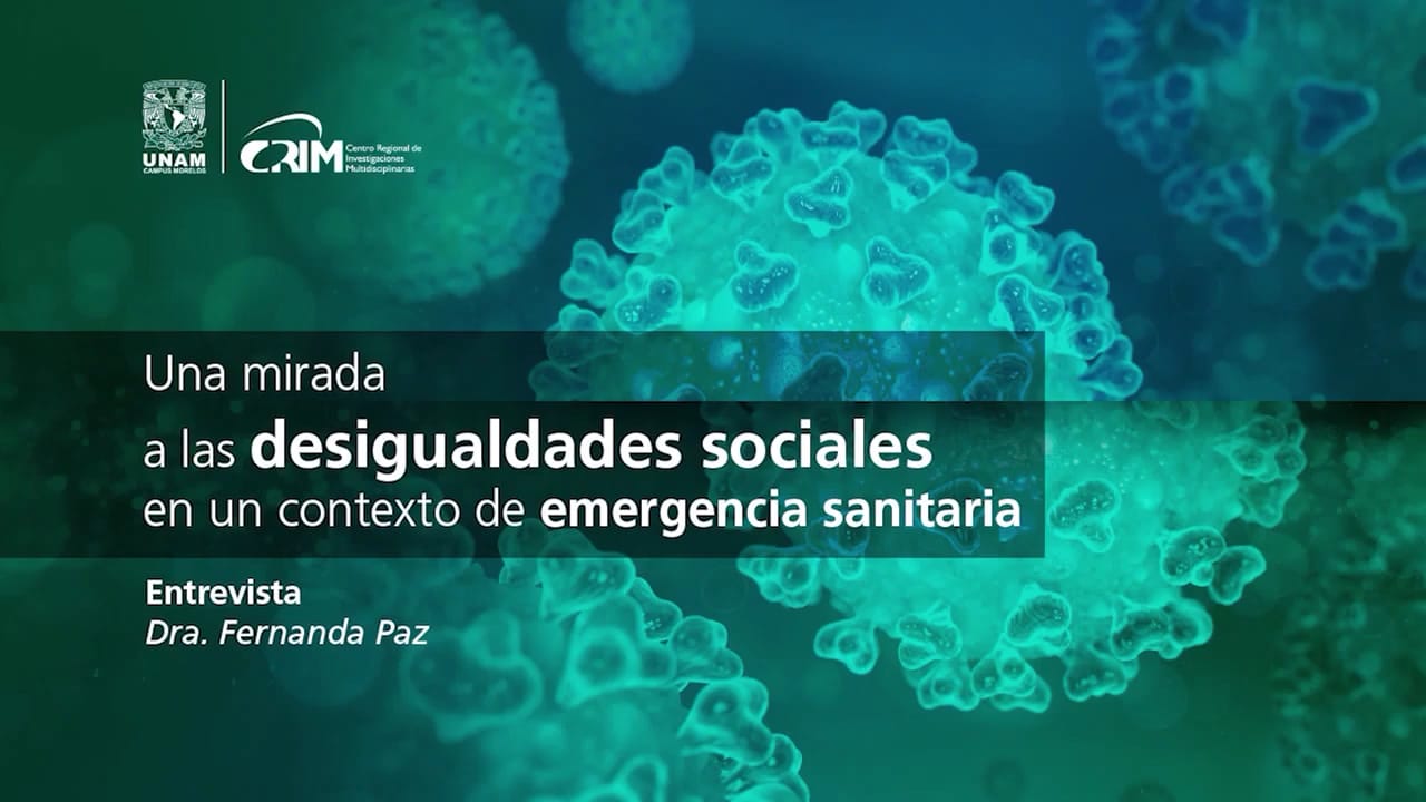 Desigualdades sociales en el contexto de la emergencia sanitaria