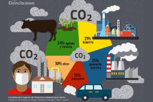 CO2 | UNAM Global