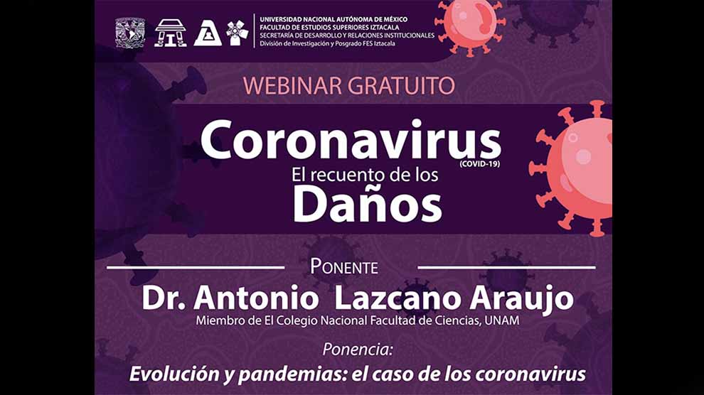 Evolución y pandemias: el caso de los coronavirus
