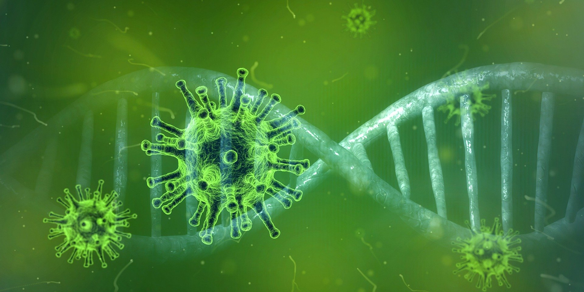Primeros coronavirus surgieron hace más de 50 millones de años