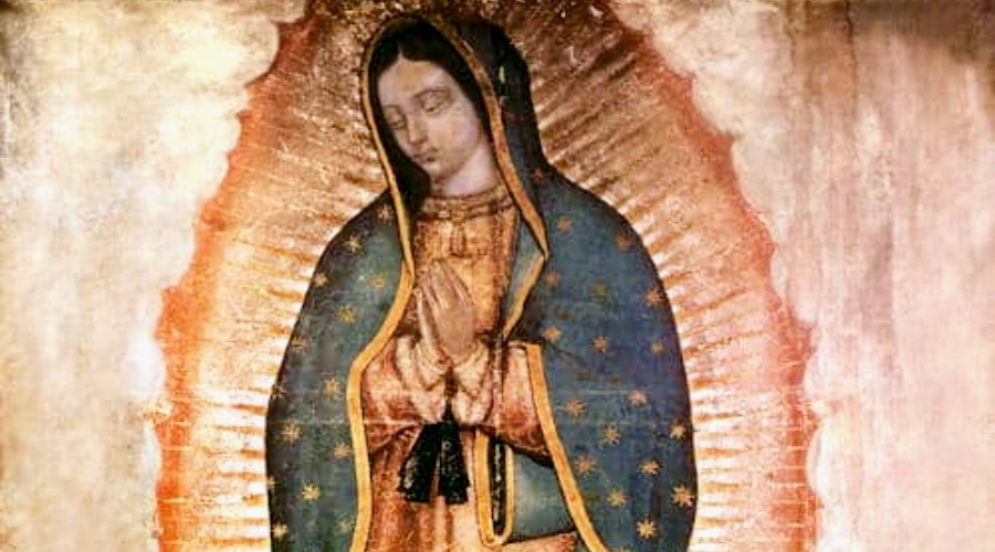 Virgen de Guadalupe la devoción católica que más crece en el mundo UNAM Global