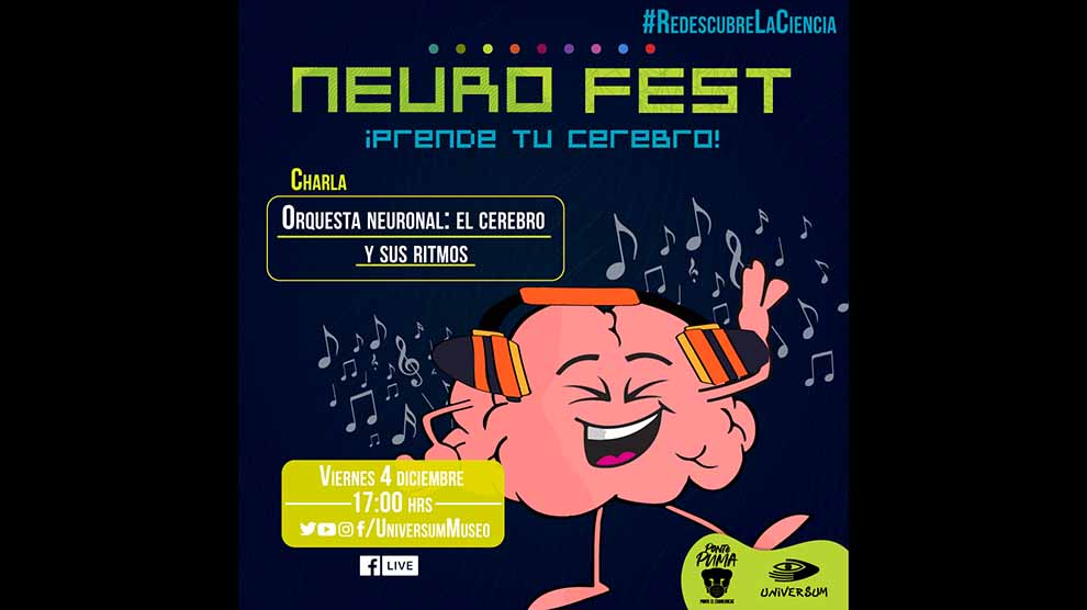Orquesta neuronal: el cerebro y sus ritmos